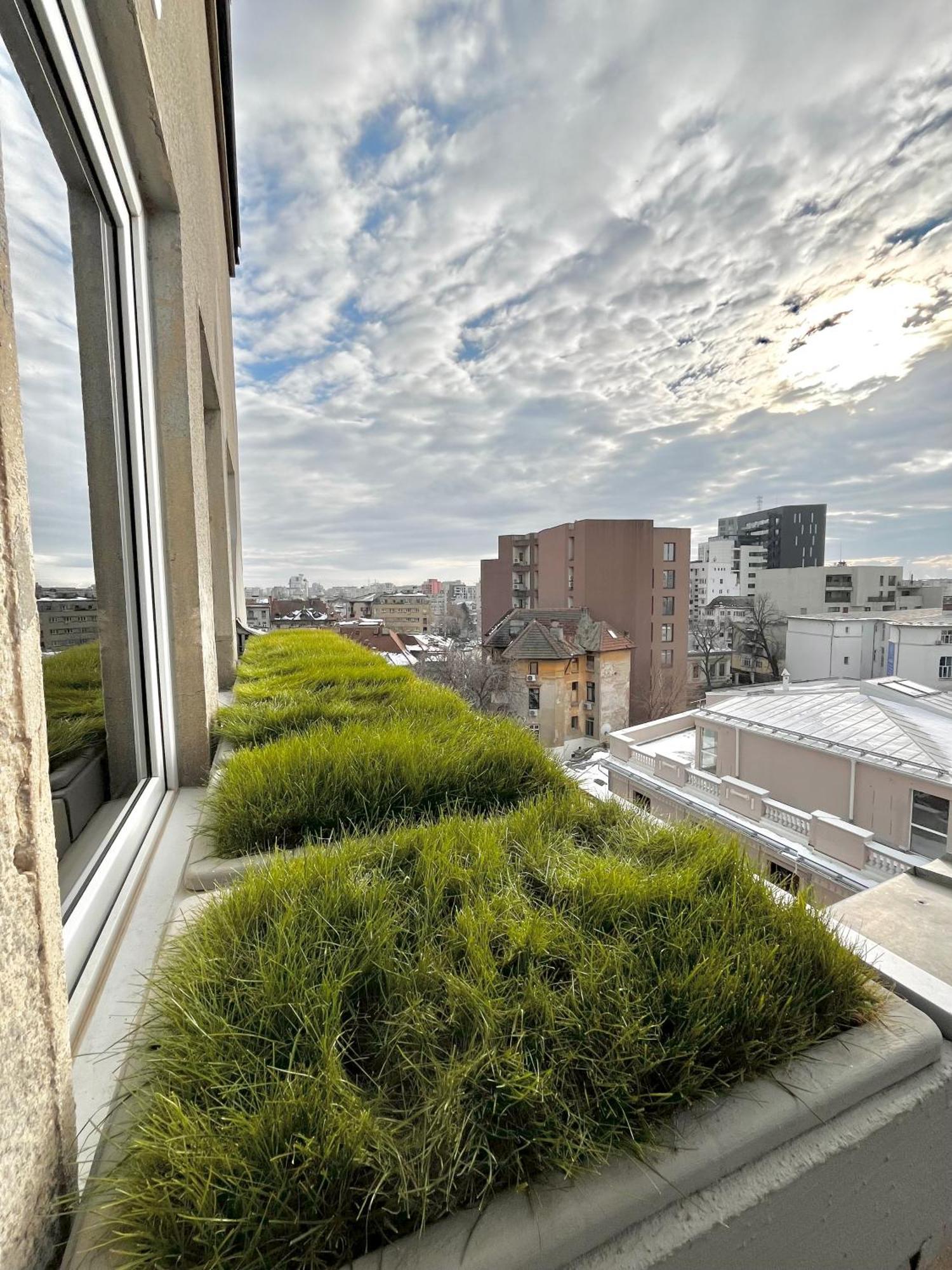 Terrace View Downtown Studio Букурещ Екстериор снимка